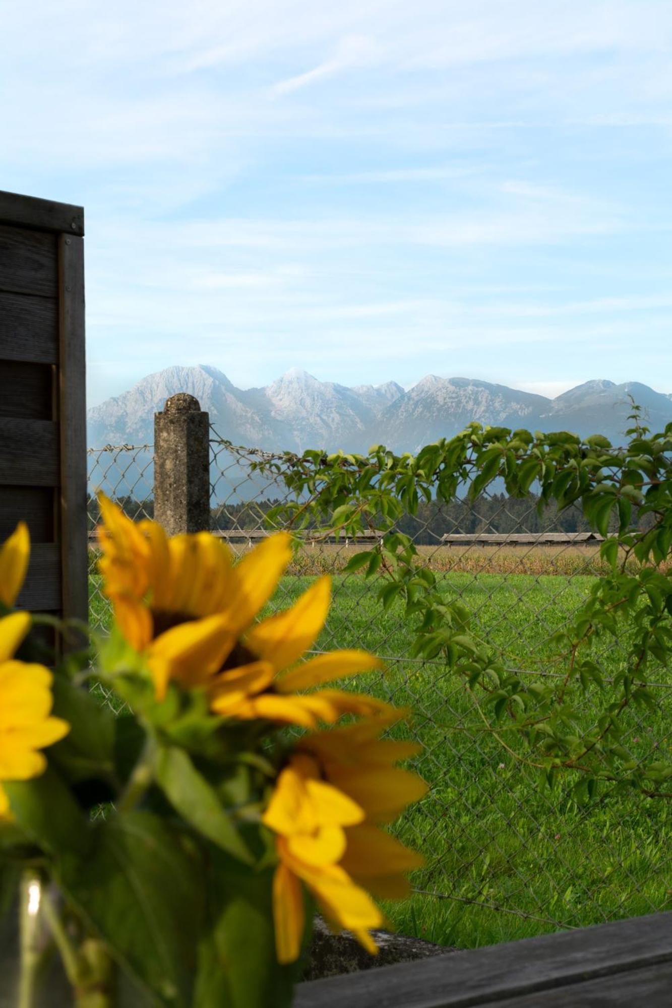 Glamping With A View Villa Smlednik ภายนอก รูปภาพ